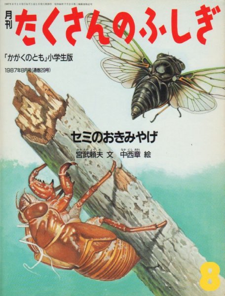 画像1: セミのおきみやげ（たくさんのふしぎ29号）1987年8月号【状態B】 (1)