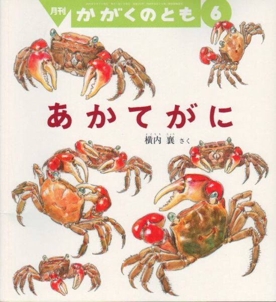 画像1: あかてがに（かがくのとも483号）【状態C】 (1)