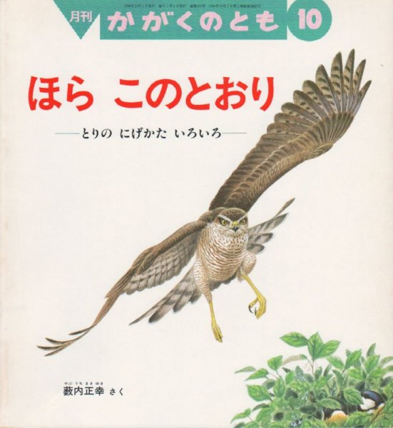 画像1: ほら　このとおり-とりのにげかたいろいろ-（かがくのとも355号）【状態C】 (1)