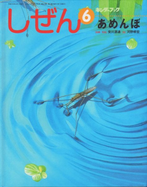 画像1: あめんぼ（しぜん-キンダーブック平成23年6月発行）【状態C】 (1)