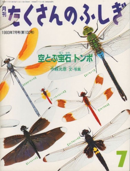 画像1: 空とぶ宝石トンボ（たくさんのふしぎ100号）【状態B】希少本 (1)