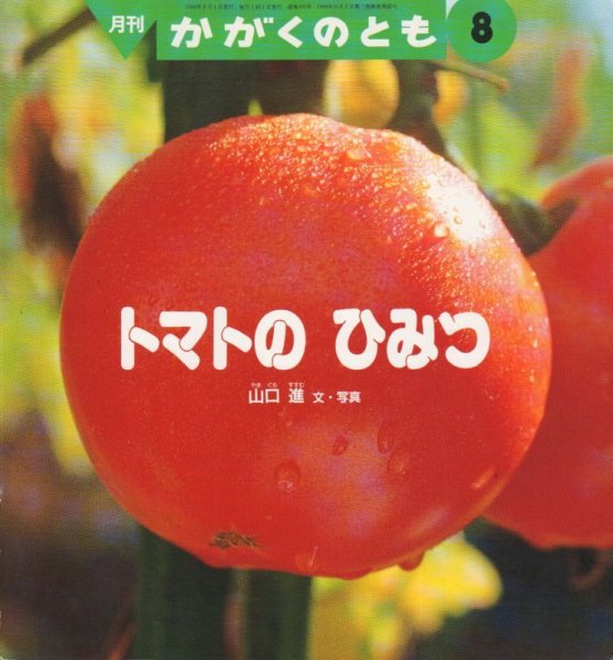 画像1: トマトのひみつ（かがくのとも305号）【状態C】２希少本 (1)