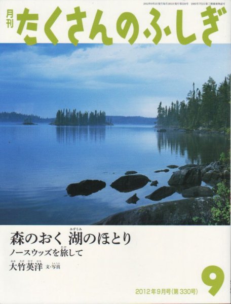 画像1: 森のおく湖のほとり（たくさんのふしぎ330号）【状態B】 (1)