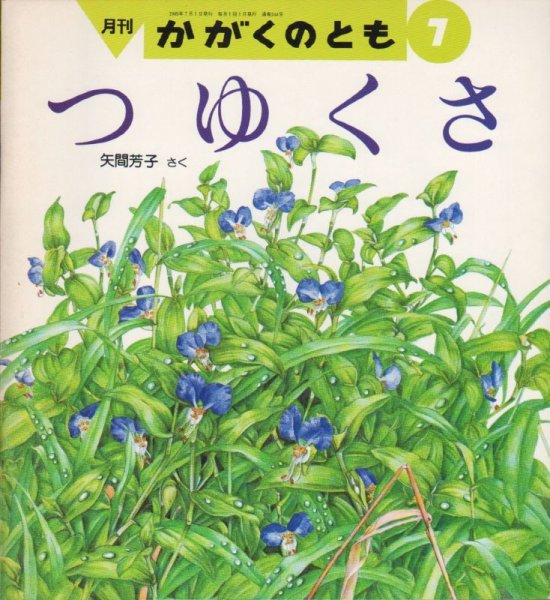 画像1: つゆくさ（かがくのとも244号）【状態B】希少本 (1)