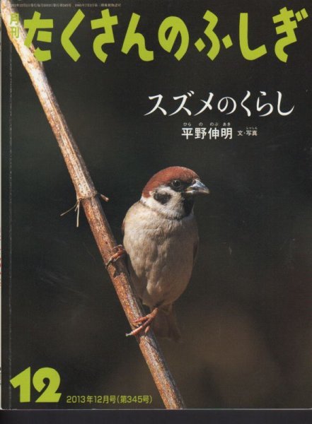 画像1: スズメのくらし（たくさんのふしぎ345号）【状態B】 (1)