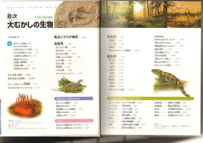 画像1: 大むかしの生物 　小学館の図鑑NEO 【状態A】