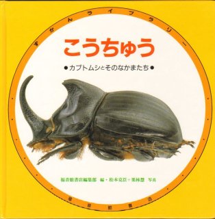 かぶとむしはどこ？【状態B】 - こども古本店