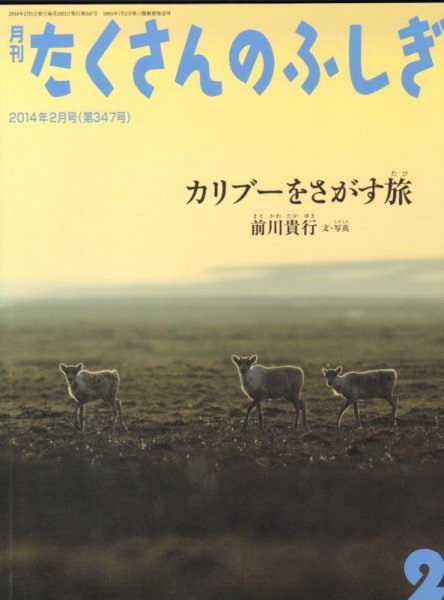 画像1: カリブーをさがす旅（たくさんのふしぎ347号）【状態B】2 (1)