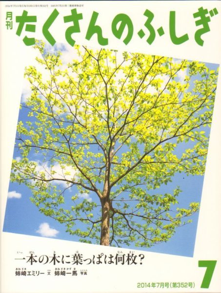 画像1: 一本の木に葉っぱは何枚？（たくさんのふしぎ352号）【状態A】 (1)