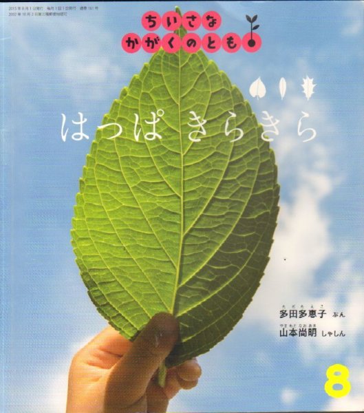 画像1: はっぱ きらきら（ちいさなかがくのとも161号）【バーゲンブック】※ (1)