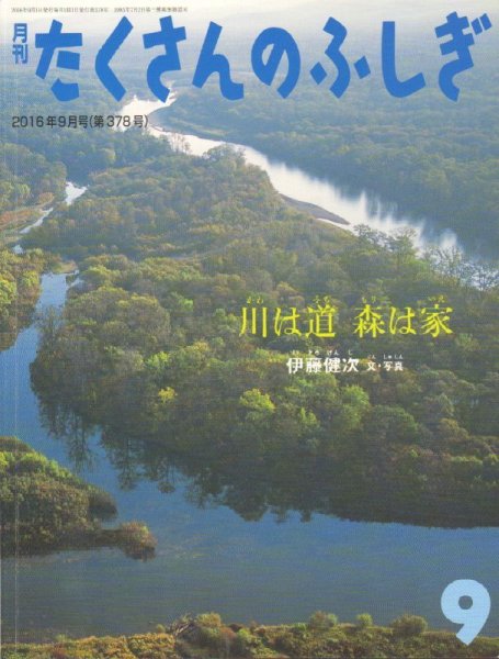 画像1: 川は道 森は家（たくさんのふしぎ378号）【状態A】2 (1)