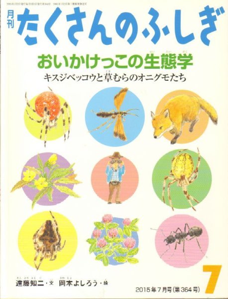 画像1: おいかけっこの生態学（たくさんのふしぎ364号）【状態B】2 (1)