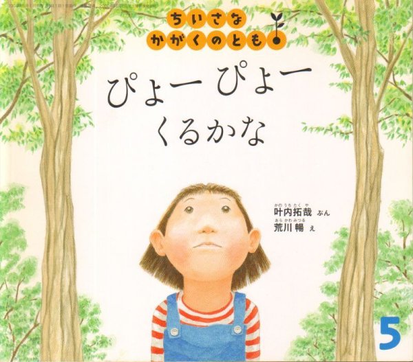 画像1: ぴょーぴょー　くるかな（ちいさなかがくのとも26号）【状態A】 (1)