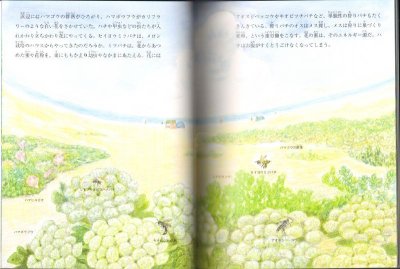 画像1: すれちがいの生態学（たくさんのふしぎ388号）【状態A】