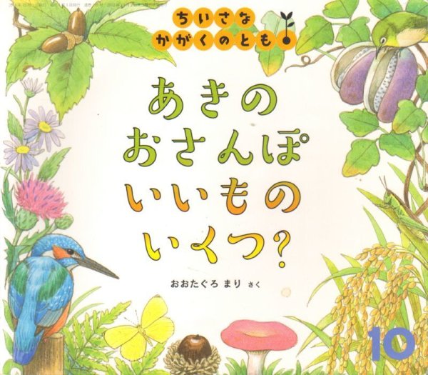 画像1: あきのおさんぽいいものいくつ？（ちいさなかがくのとも199号）【状態B】＊ (1)