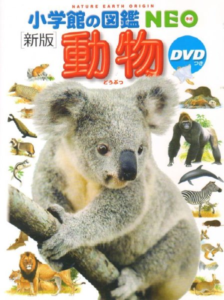 画像1: 新版 小学館の図鑑NEO 動物 ※DVD欠品【バーゲンブック】 (1)