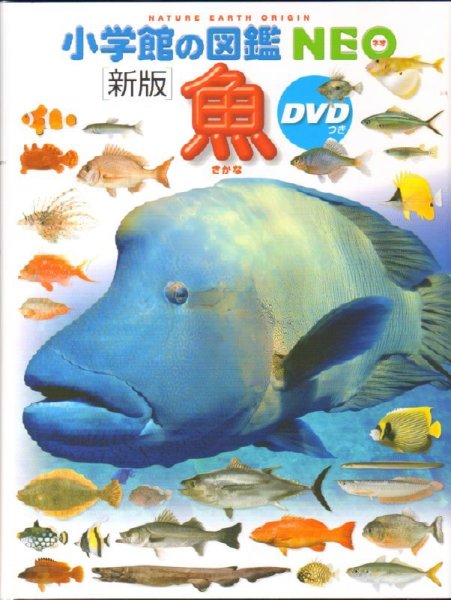 画像1: 新版 小学館の図鑑NEO 魚 【バーゲンブック】※DVD欠品 (1)