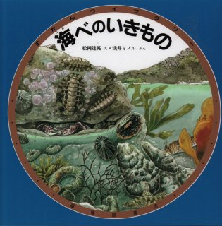 ミニチュアでみる 世界の台所（ずかんライブラリー）【状態B