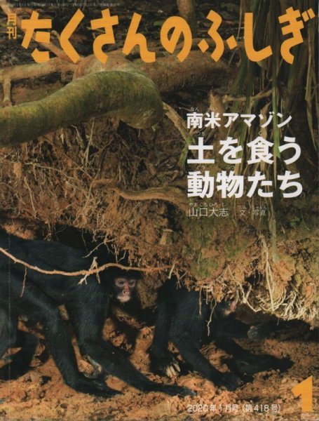 画像1: 南米アマゾン 土を食う動物たち（たくさんのふしぎ418号）【状態C】2 (1)