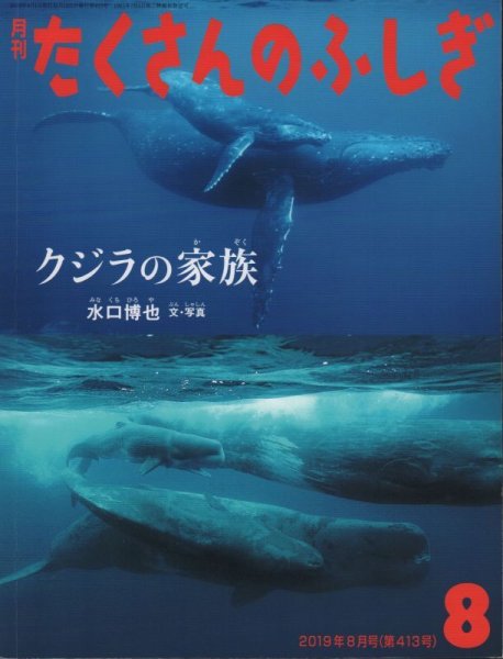 画像1: クジラの家族（たくさんのふしぎ413号）【状態C】２ (1)