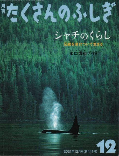 画像1: シャチのくらし　伝統を受けついで生きる（たくさんのふしぎ441号）【状態A】 (1)