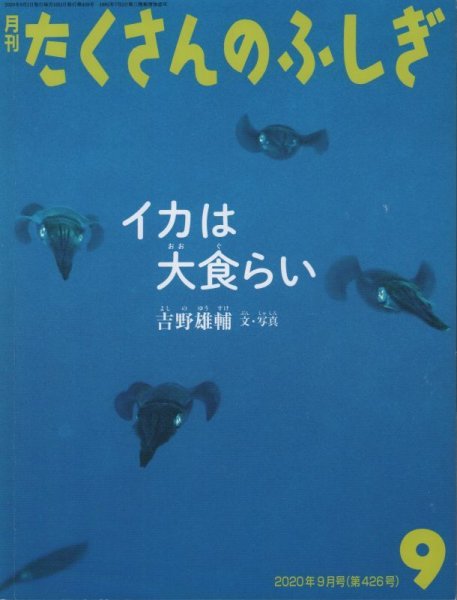 画像1: イカは大食らい（たくさんのふしぎ426号）【状態B】 (1)