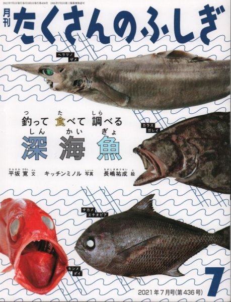 画像1: 釣って食べて調べる深海魚（たくさんのふしぎ436号）【状態B】 (1)