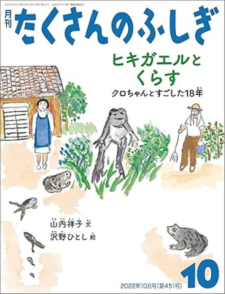 画像1: ヒキガエルとくらす　クロちゃんとすごした１８年（たくさんのふしぎ451号）【状態B】 (1)