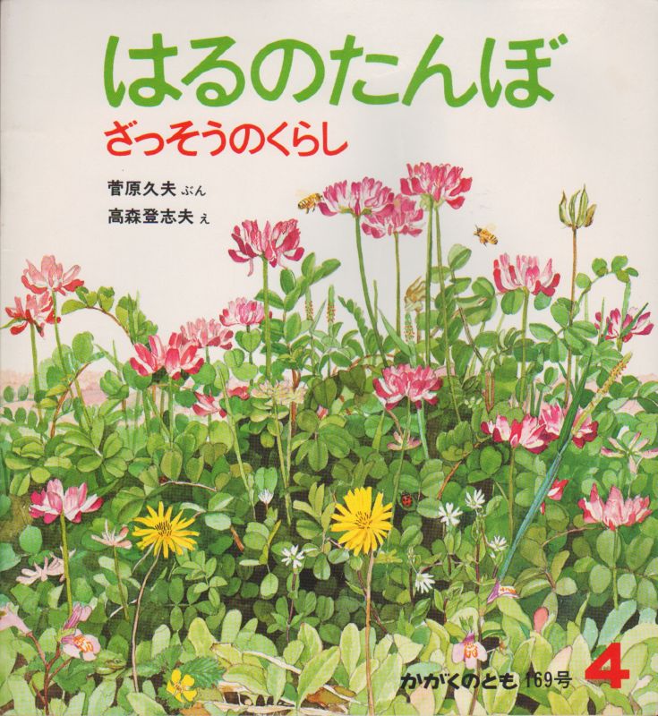 はるのたんぼーざっそうのくらし（かがくのとも169号）【バーゲンブック】＊希少本