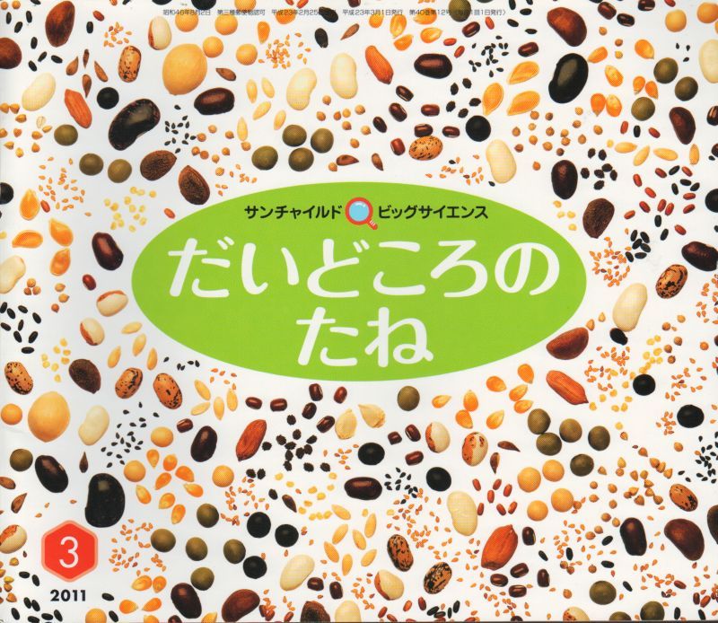 だいどころのたね サンチャイルドビッグサイエンス 状態b こども古本店