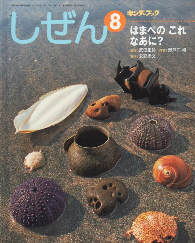 はまべのこれなあに？（しぜん-キンダーブック平成20年8月発行）【状態