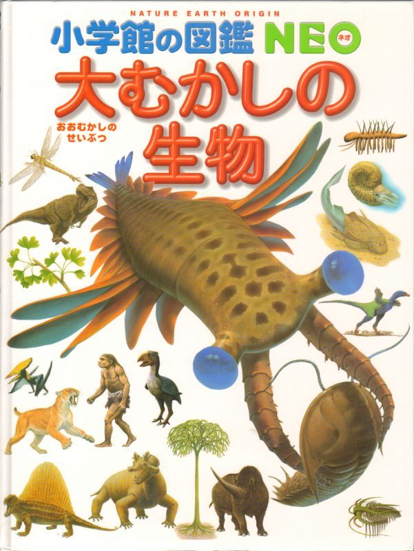 大むかしの生物 小学館の図鑑NEO 【状態C】 - こども古本店