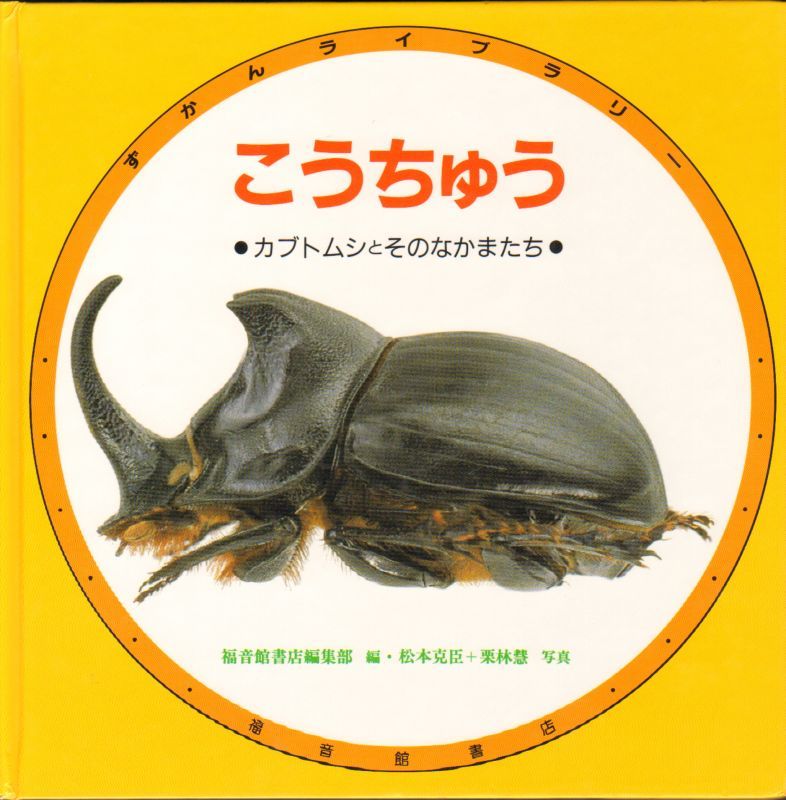 ずかんライブラリー 全12巻セット 絵本 福音館書店 - 絵本・児童書